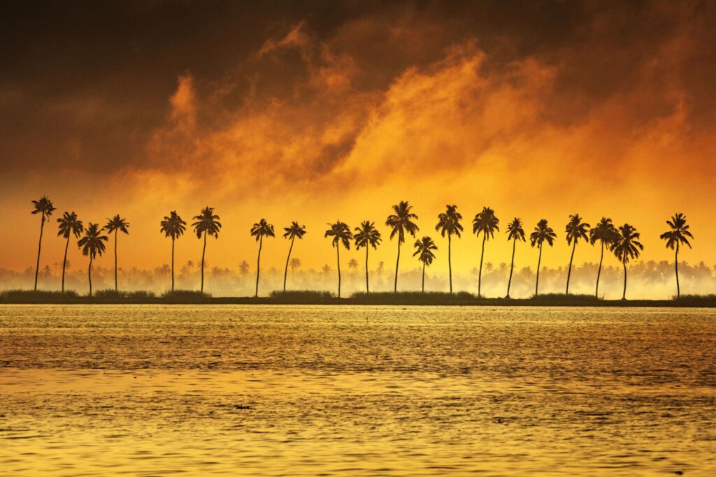 Alappuzha