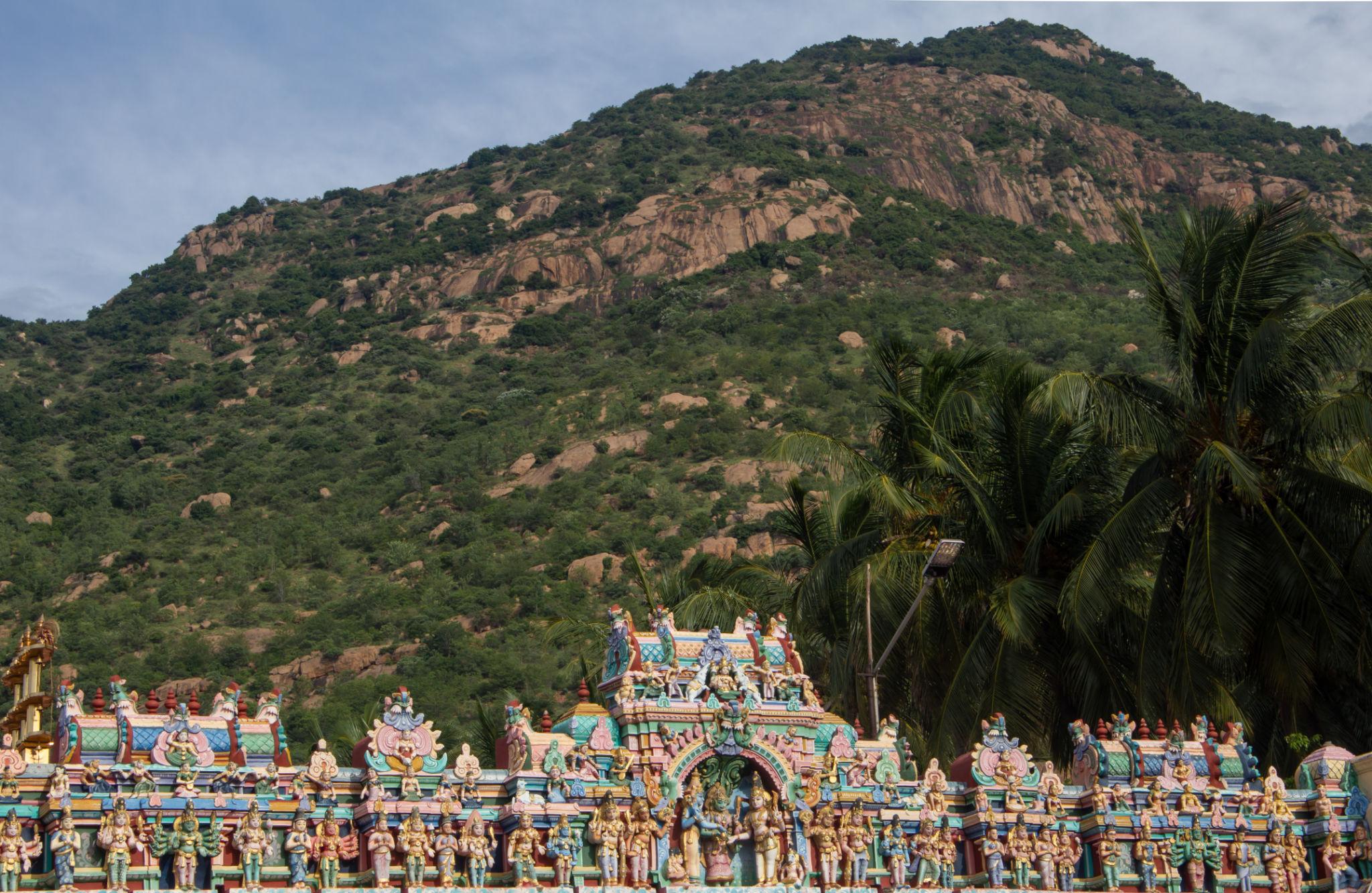 Arunachala Hill