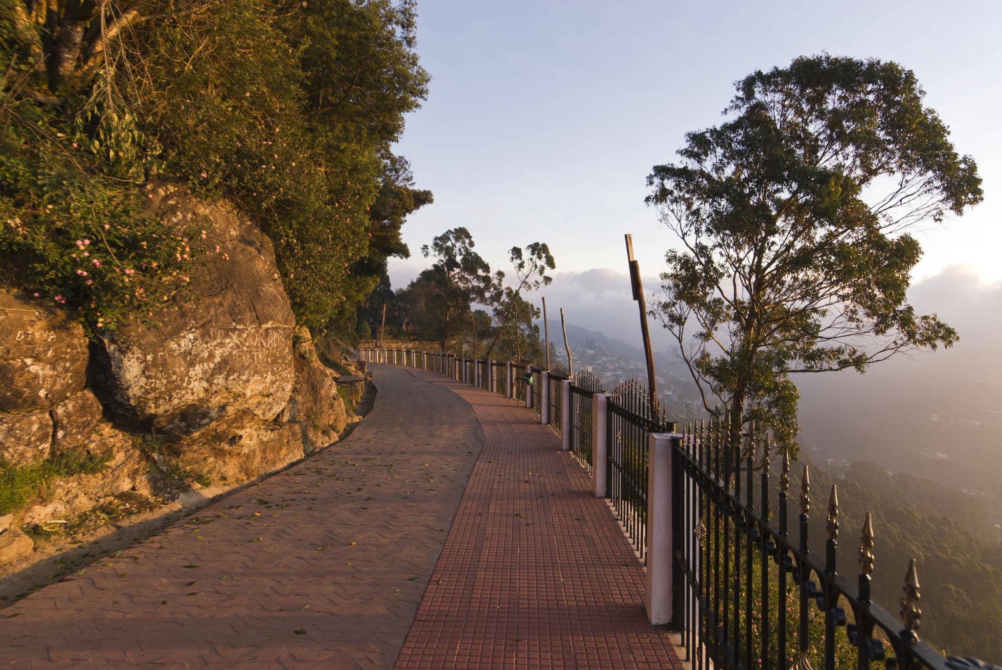 Coaker's Walk