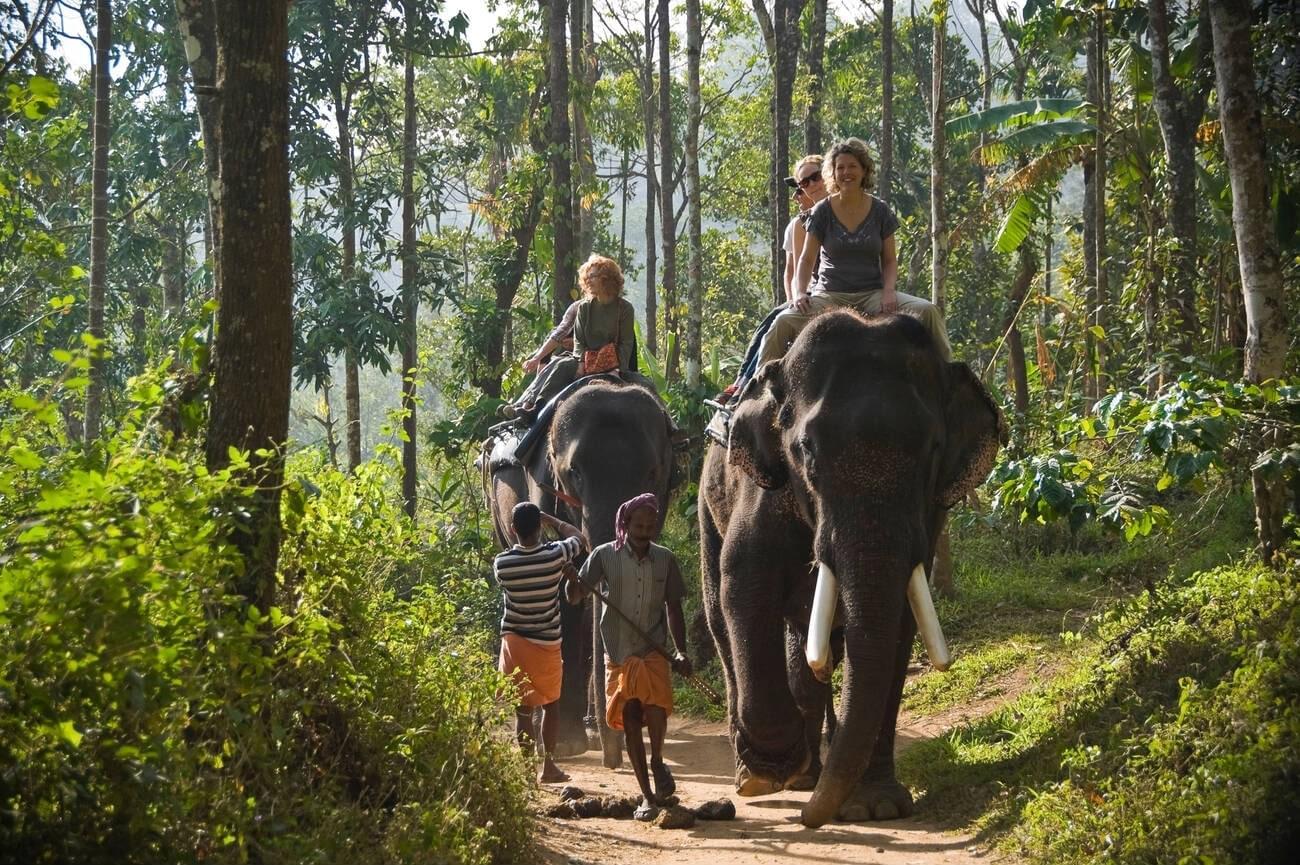 Elephant Camp Thekkady
