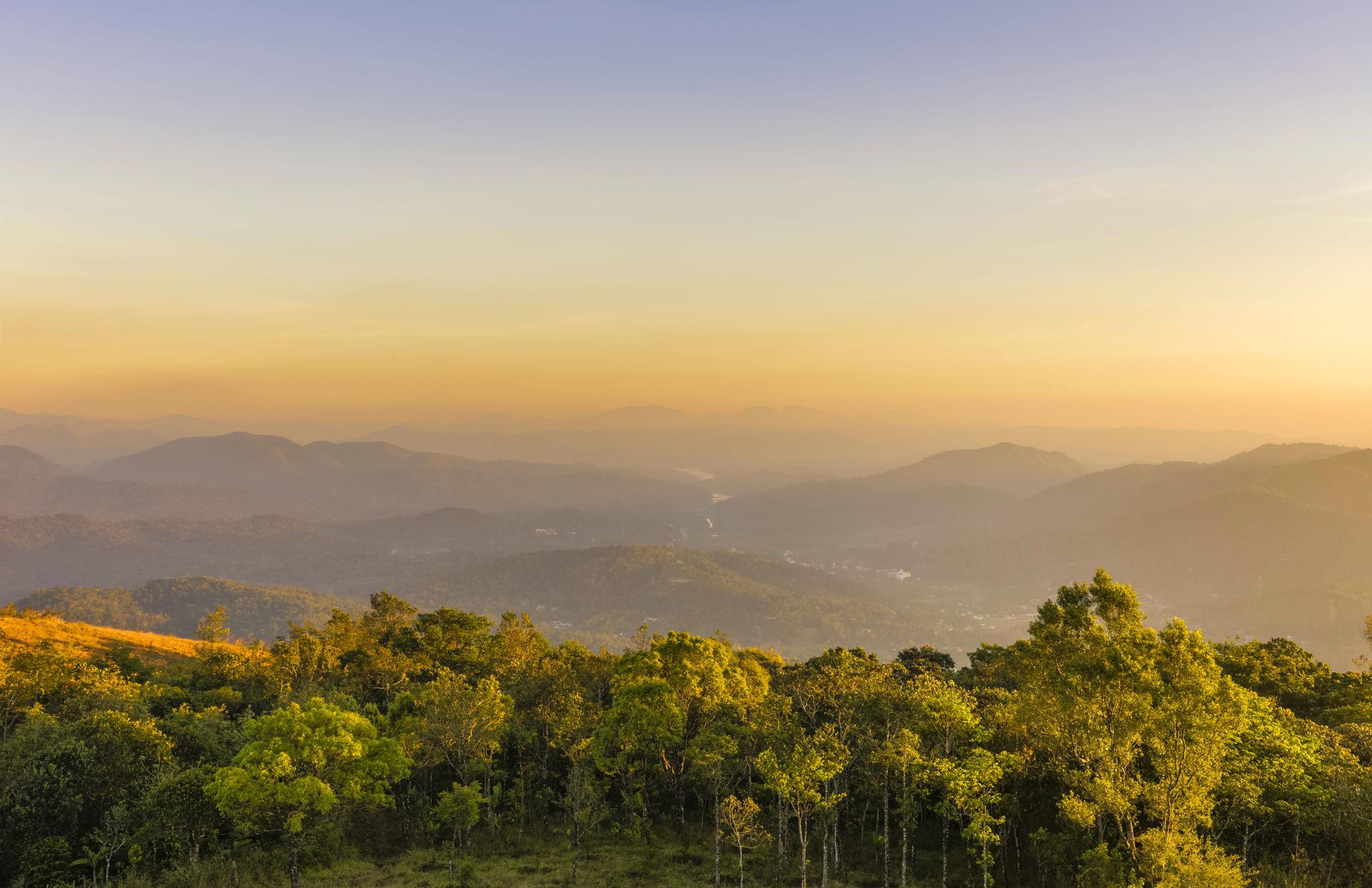 Spice Plantations Thekkady